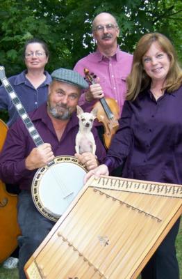 Picks & Sticks Stringband | Northville, MI | Variety Band | Photo #13
