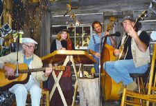 Picks & Sticks Stringband | Northville, MI | Variety Band | Photo #3