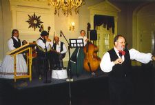 Picks & Sticks Stringband | Northville, MI | Variety Band | Photo #4