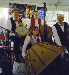 Picks & Sticks Stringband | Northville, MI | Variety Band | Photo #9