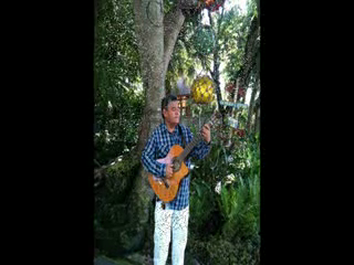 Carlos Abanto | Miami, FL | Classical Guitar | Bamboleo