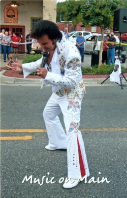 Bill J. Brooks | Winter Haven, FL | Elvis Impersonator | Photo #11