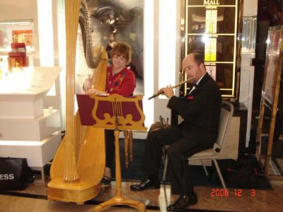 Chamber Music Unlimited | Houston, TX | Classical Trio | Photo #3