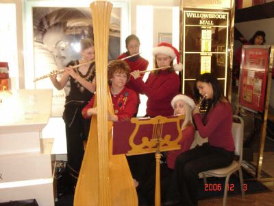 Chamber Music Unlimited | Houston, TX | Classical Trio | Photo #5