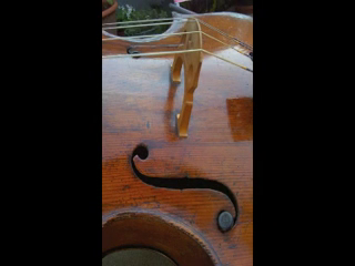 Hope Easton | Culver City, CA | Classical Cello | Bach Prelude in G Major