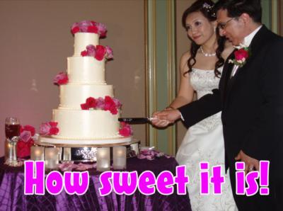 Party Planet DJs | Redlands, CA | DJ | Photo #12
