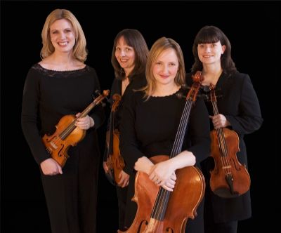 Celestial Strings's Main Photo