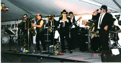 Small Time Dave And The Windy City Groove | Crete, IL | Cover Band | Photo #11