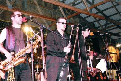 Small Time Dave And The Windy City Groove | Crete, IL | Cover Band | Photo #17