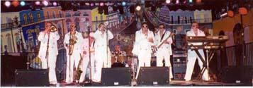 Small Time Dave And The Windy City Groove | Crete, IL | Cover Band | Photo #22