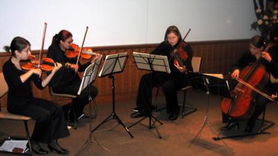 International Strings | Boston, MA | String Quartet | Photo #18