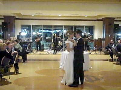 "The Sound Encounter Orchestra" | Chicago, IL | Cover Band | Photo #4