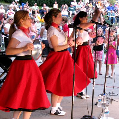 Moose & Da Sharks | Eastpointe, MI | Oldies Band | Photo #5