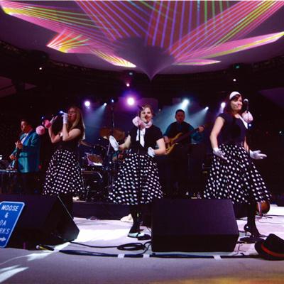 Moose & Da Sharks | Eastpointe, MI | Oldies Band | Photo #8