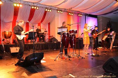 Orange Krush | Asheville, NC | Dance Band | Photo #16