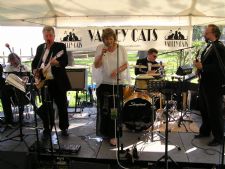 The Valley Cats | Athens, AL | Dance Band | Photo #10