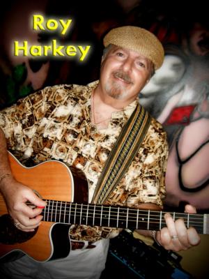Roy Harkey: Singer/Guitar Player/One Man Band | Plano, TX | One Man Band | Photo #6