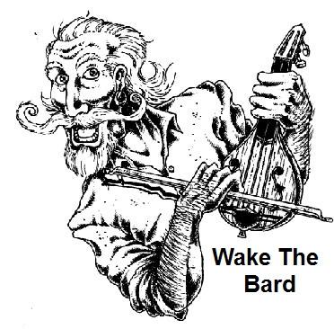 Wake The Bard | San Bernardino, CA | Irish Band | Photo #10