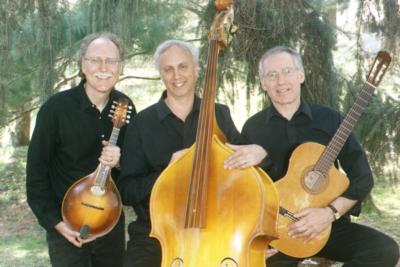 The Bernstein-Bard Trio | New Paltz, NY | Acoustic Band | Photo #8
