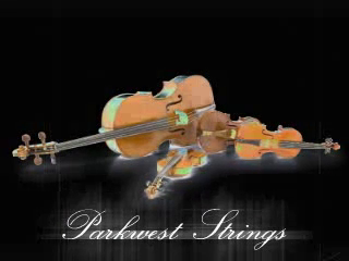 Parkwest Strings | Chicago, IL | String Quartet | Parkwest- Strings