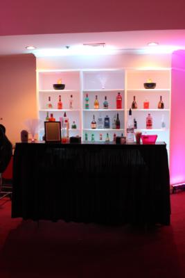 Maximum Volume DJ & Ambiance Lighting Group. | Mount Rainier, MD | DJ | Photo #22