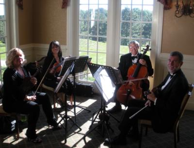 The Shrewsbury String Quartet's Main Photo