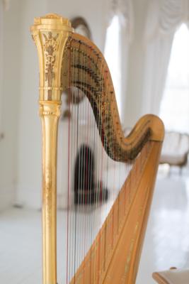Ashley Toman | Baton Rouge, LA | Classical Harp | Photo #14
