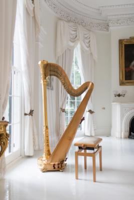 Ashley Toman | Baton Rouge, LA | Classical Harp | Photo #9
