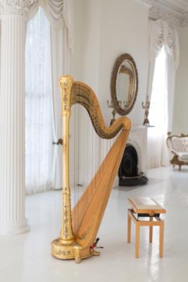 Ashley Toman | Baton Rouge, LA | Classical Harp | Photo #16