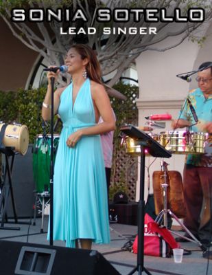 The Latin Vibe's Main Photo