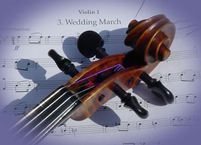 StringMusic's Main Photo