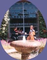 StringMusic | San Antonio, TX | Classical String Quartet | Photo #2