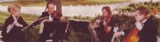 StringMusic | San Antonio, TX | Classical String Quartet | Photo #5