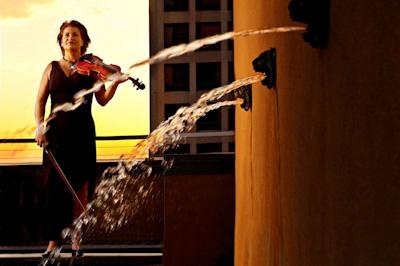European Ensemble - Trio, Quartet | Dallas, TX | Classical String Quartet | Photo #12