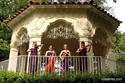 European Ensemble - Trio, Quartet | Dallas, TX | Classical String Quartet | Photo #8