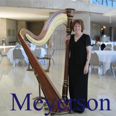 Jenny Glass | Arlington, TX | Classical Harp | Photo #16