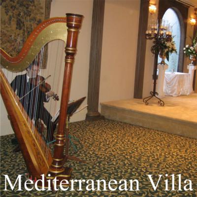 Jenny Glass | Arlington, TX | Classical Harp | Photo #15