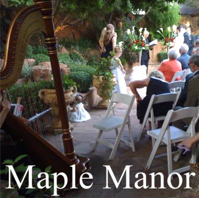 Jenny Glass | Arlington, TX | Classical Harp | Photo #13