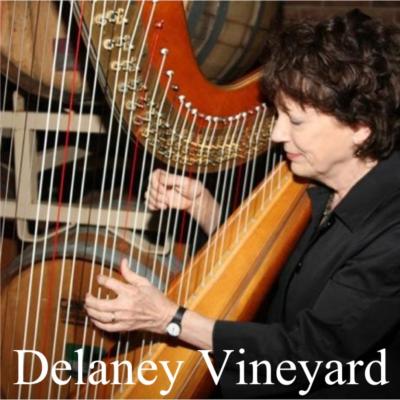 Jenny Glass | Arlington, TX | Classical Harp | Photo #12