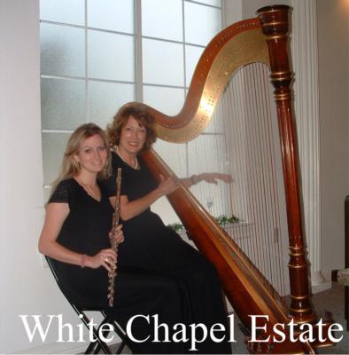 Jenny Glass | Arlington, TX | Classical Harp | Photo #24
