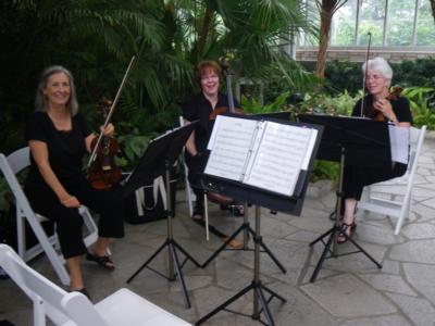 Heritage String Quartet | Ballwin, MO | Classical String Quartet | Photo #5