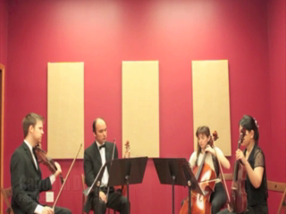 Boston String Quartet | Cambridge, MA | Chamber Music Quartet | Canon in D