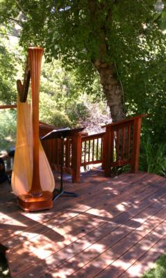 Paul Wren | Denver, CO | Classical Harp | Photo #13