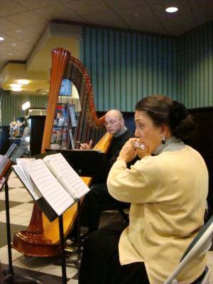 Paul Wren | Denver, CO | Classical Harp | Photo #12