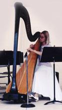 Shaw Strings | West Chester, PA | Classical String Quartet | Photo #2