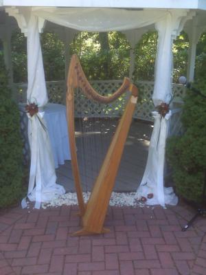 De Luna | Hooksett, NH | Harp | Photo #8