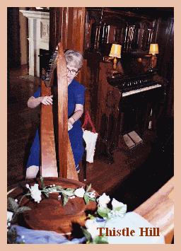 Susan Koskelin | Hurst, TX | Classical Harp | Photo #7