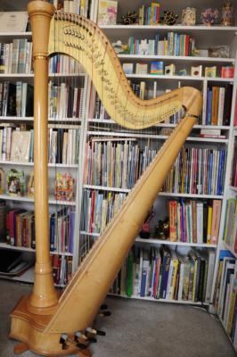 Susan Koskelin | Hurst, TX | Classical Harp | Photo #10