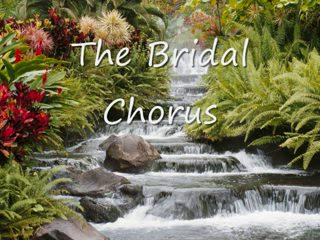 Desmond Bedlow Solo Steel Pan Musician | Los Angeles, CA | Steel Drum | The Bridal Chorus