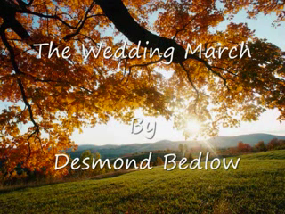 Desmond Bedlow Solo Steel Pan Musician | Los Angeles, CA | Steel Drum | Theweddingmarch